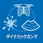 ダイナミックガンマ