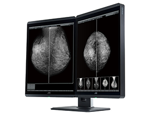 500万画素21.3型モノクローム液晶モニターMS-S500 Dualstand | 医用