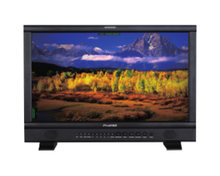 DT-N21H | Production Monitors | Professional video | Professional